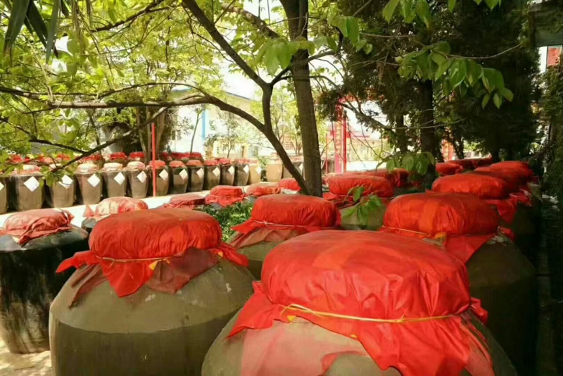厂区风采